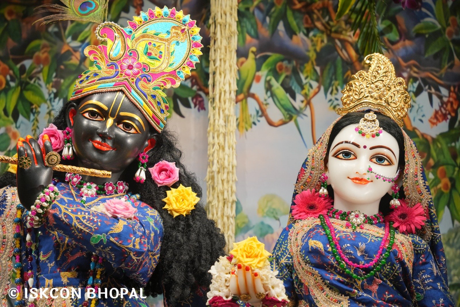 WhatsApp Image 2025-10-26 at 11.29.15 AM (1)