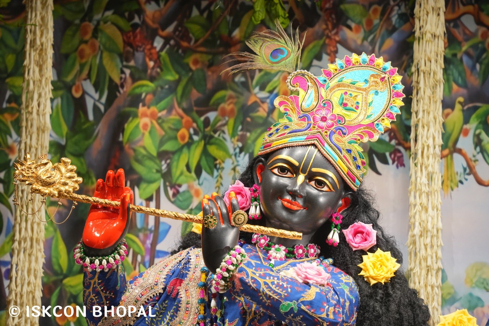 WhatsApp Image 2025-10-26 at 11.29.15 AM (3)