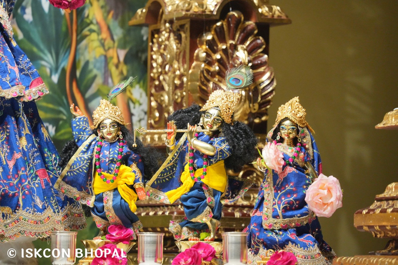 WhatsApp Image 2025-10-26 at 11.29.15 AM (6)