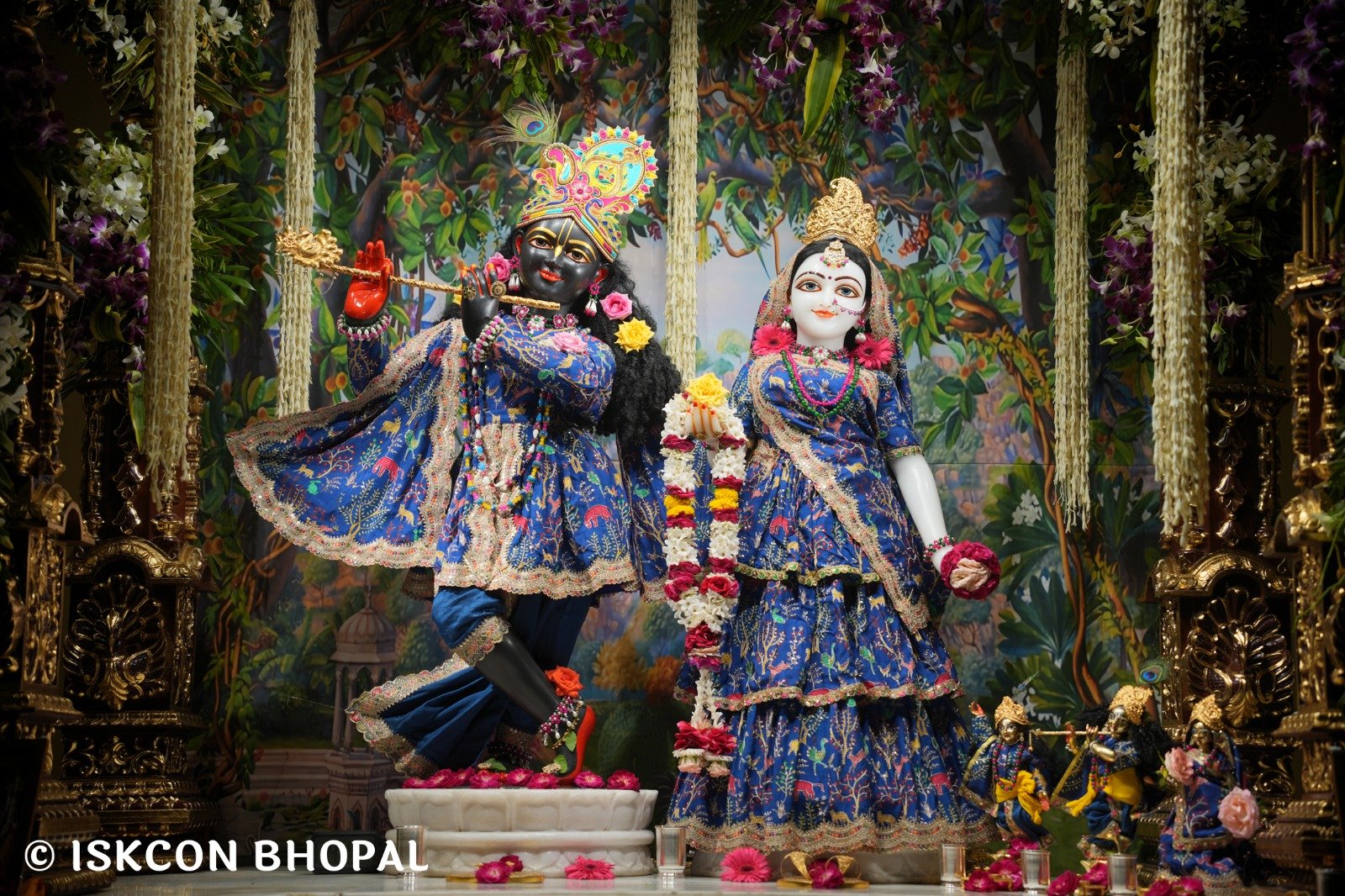 WhatsApp Image 2025-10-26 at 11.29.15 AM