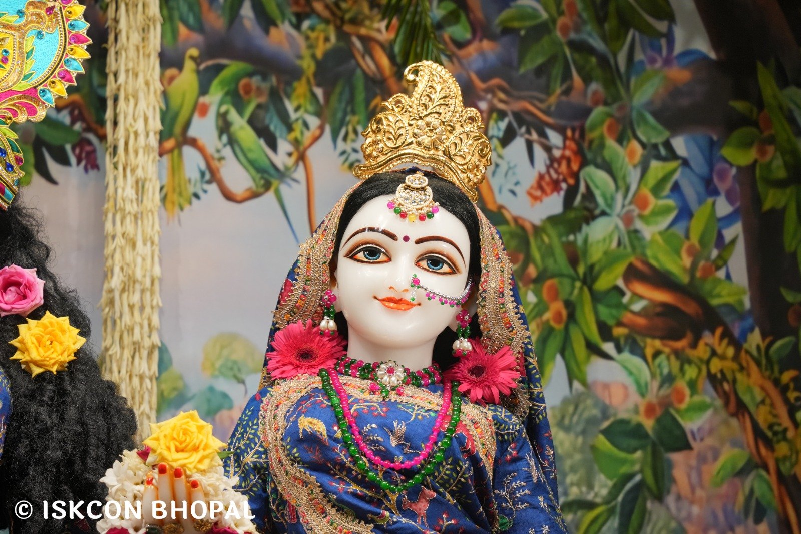 WhatsApp Image 2025-10-26 at 11.29.16 AM