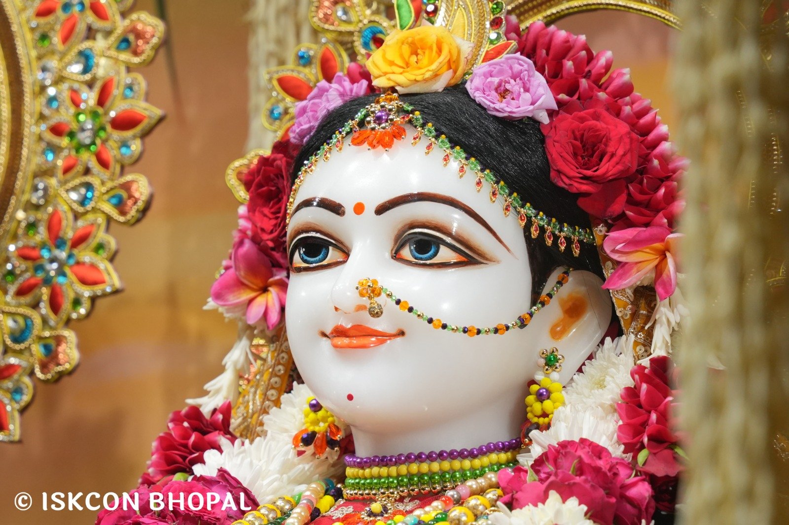 WhatsApp Image 2025-10-26 at 11.35.21 AM