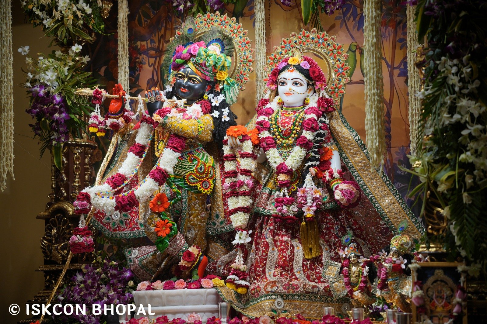 WhatsApp Image 2025-10-26 at 11.35.22 AM (1)