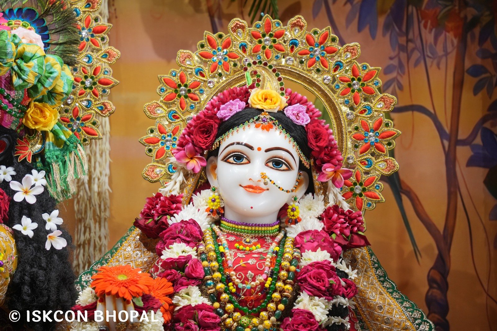 WhatsApp Image 2025-10-26 at 11.35.22 AM (2)