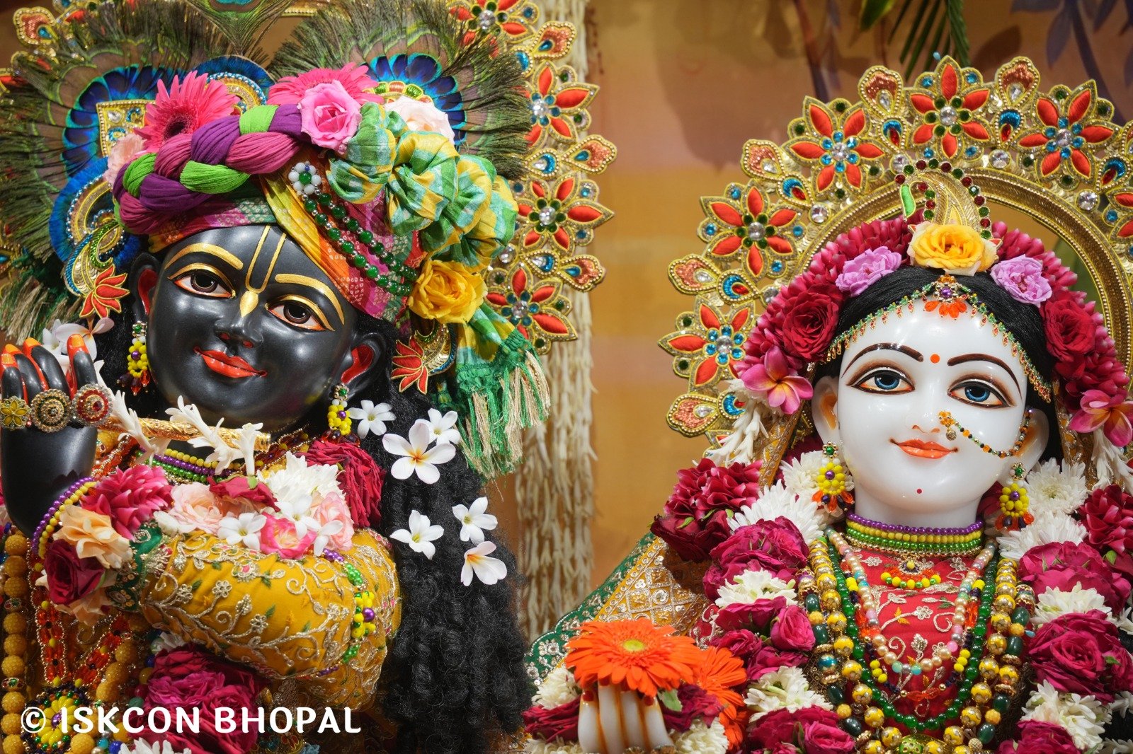 WhatsApp Image 2025-10-26 at 11.35.22 AM (3)