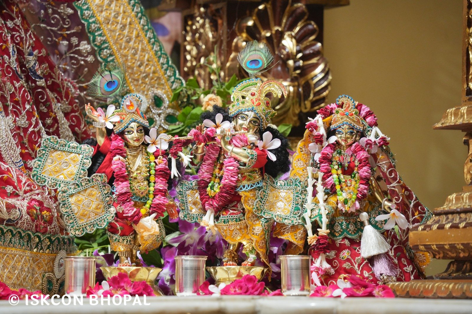 WhatsApp Image 2025-10-26 at 11.35.22 AM