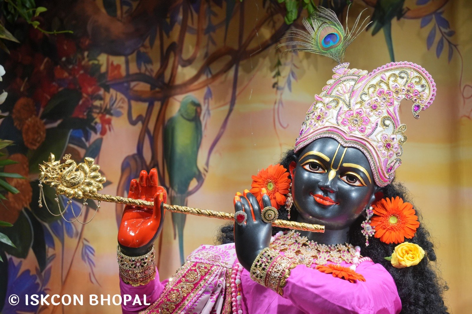 WhatsApp Image 2025-10-27 at 7.06.51 AM (1)