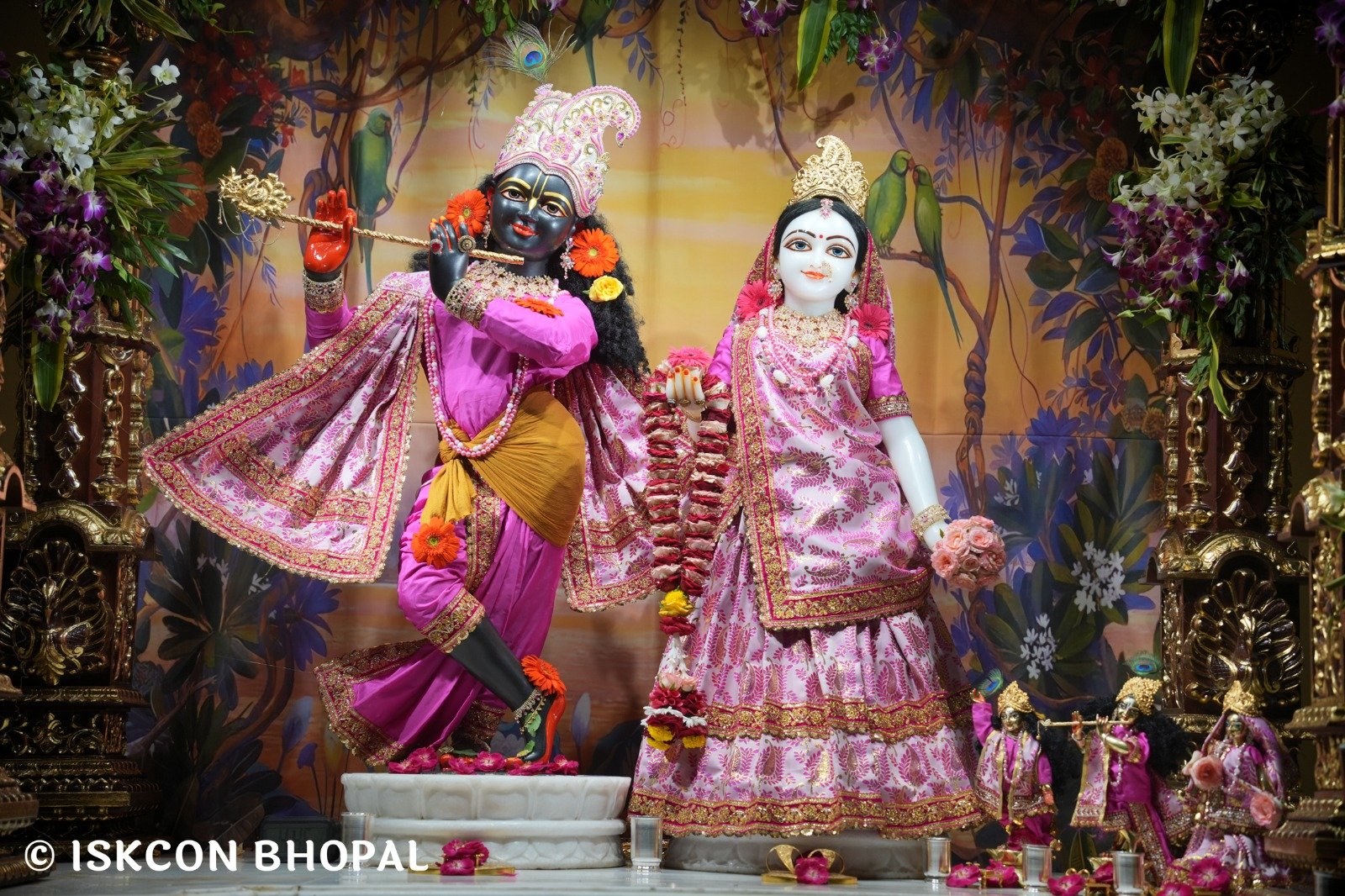 WhatsApp Image 2025-10-27 at 7.06.51 AM (2)