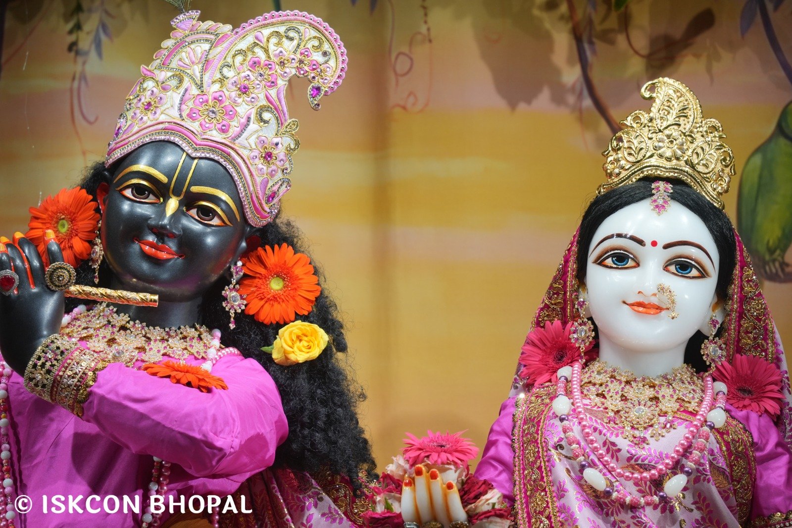 WhatsApp Image 2025-10-27 at 7.06.51 AM (5)