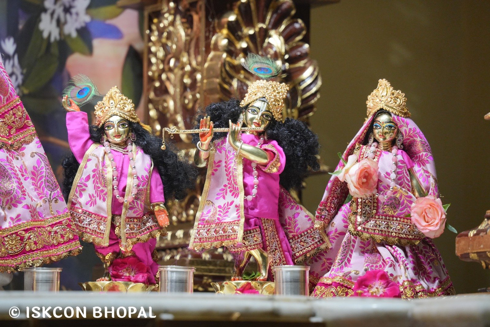 WhatsApp Image 2025-10-27 at 7.06.51 AM