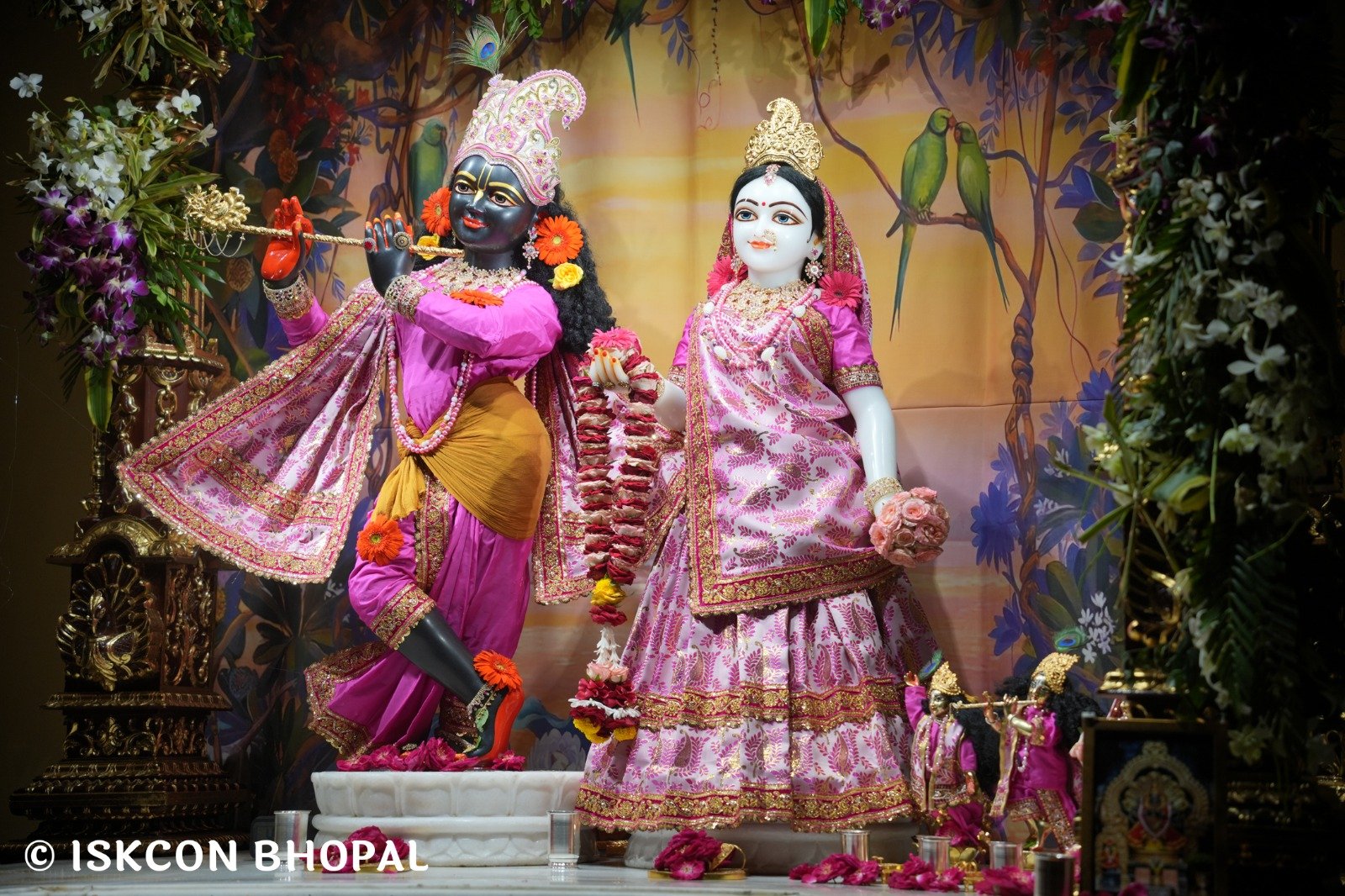 WhatsApp Image 2025-10-27 at 7.06.52 AM (2)