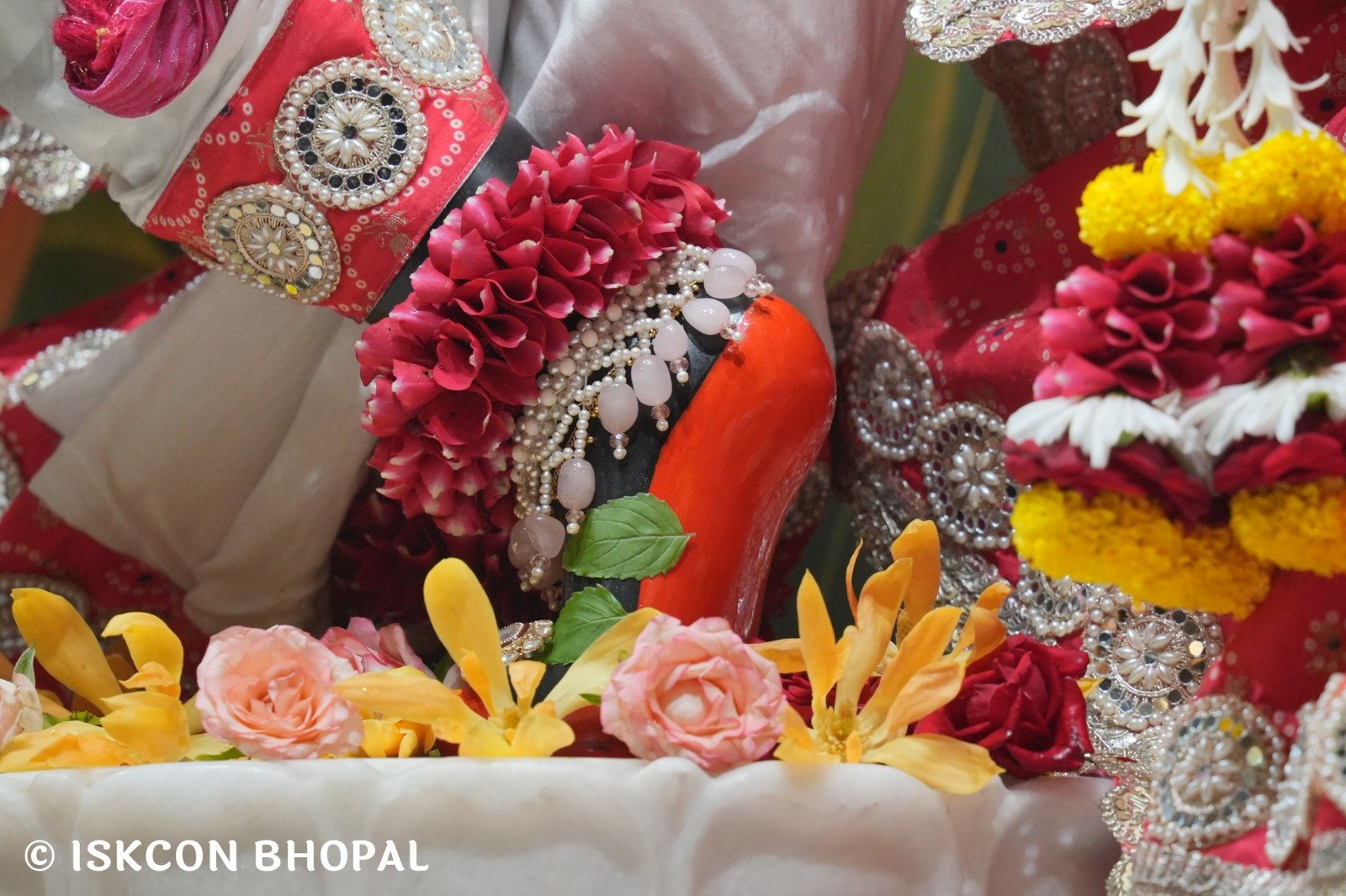 WhatsApp Image 2025-10-27 at 7.42.58 AM (1)