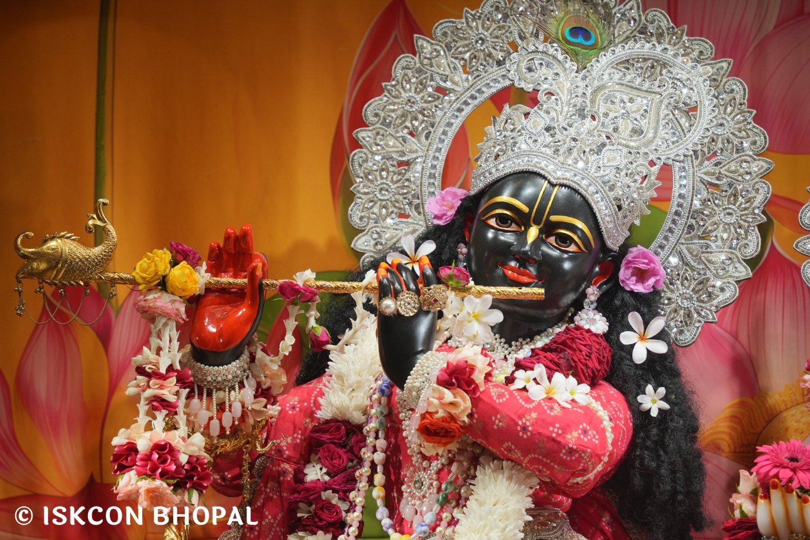 WhatsApp Image 2025-10-27 at 7.42.58 AM (3)