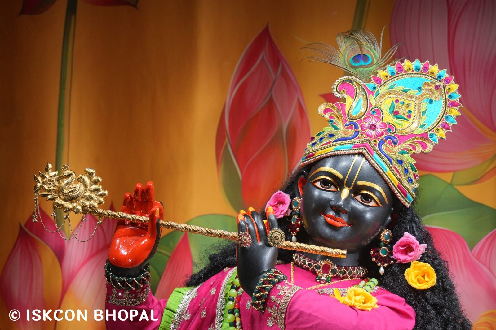 WhatsApp Image 2025-10-28 at 6.57.45 AM (2)