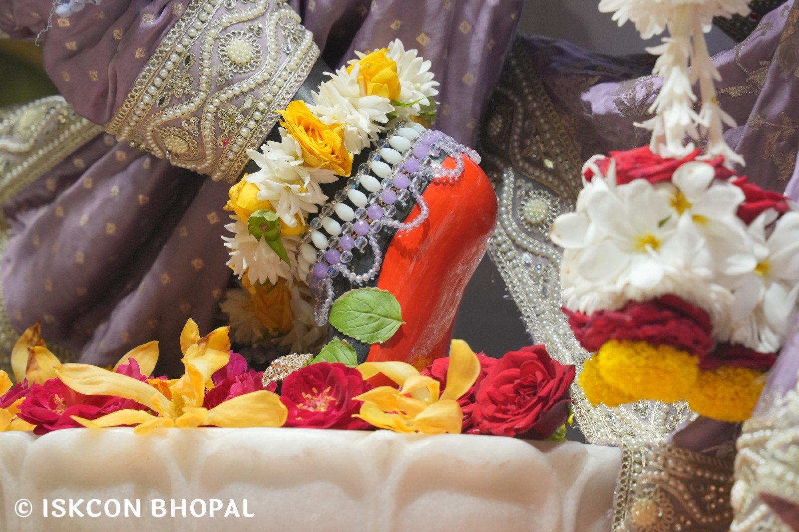 WhatsApp Image 2025-10-28 at 8.39.19 AM