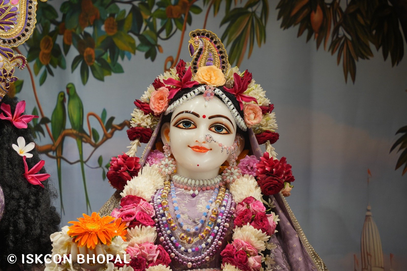 WhatsApp Image 2025-10-28 at 8.39.20 AM (1)