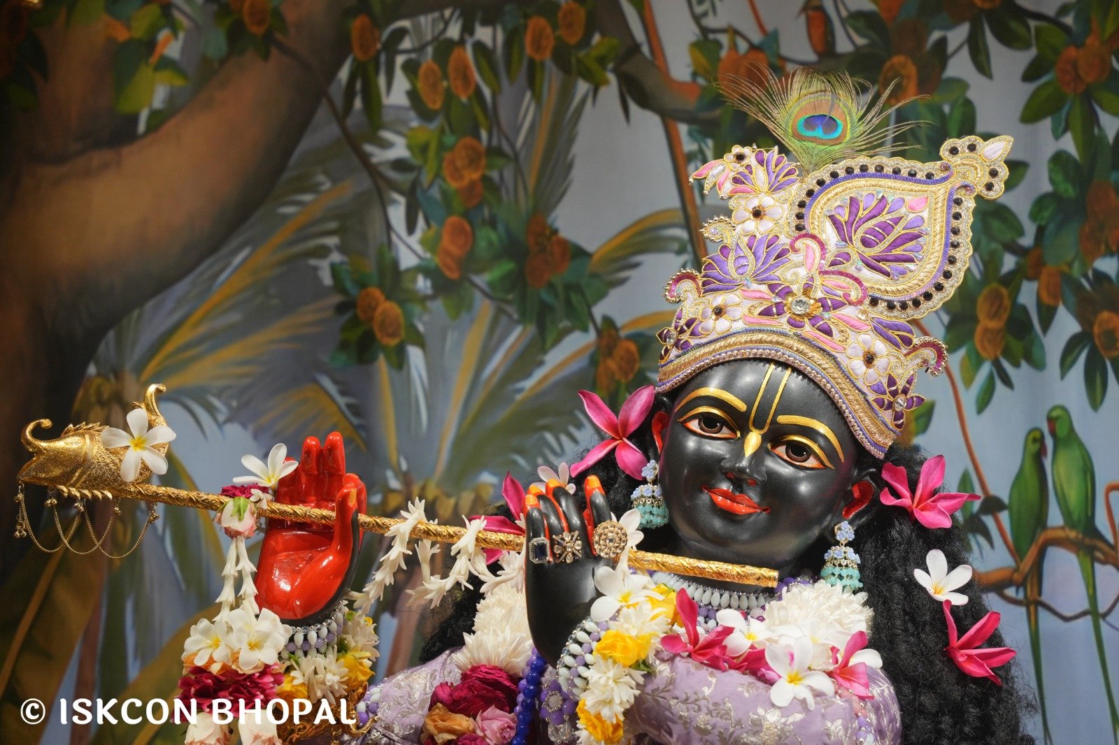 WhatsApp Image 2025-10-28 at 8.39.21 AM (1)