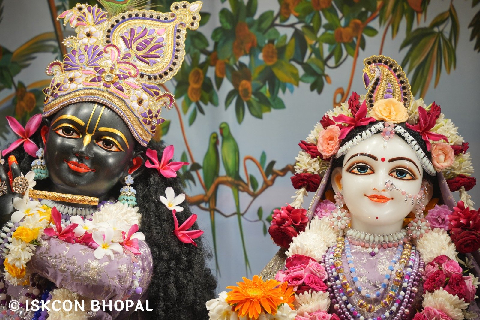 WhatsApp Image 2025-10-28 at 8.39.21 AM