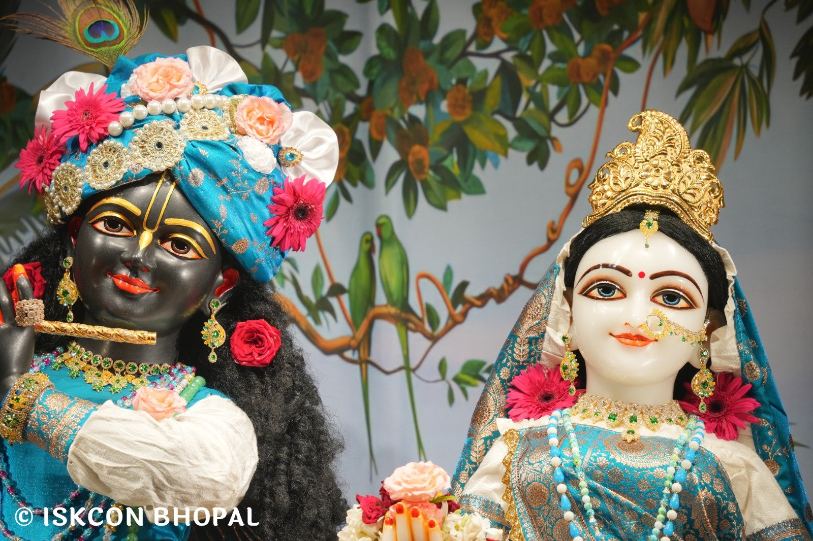 WhatsApp Image 2025-10-29 at 6.51.52 AM (1)