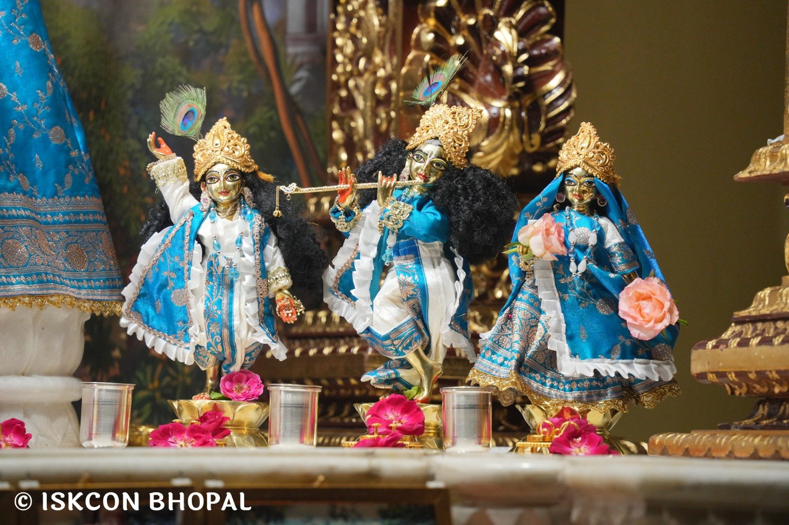 WhatsApp Image 2025-10-29 at 6.51.53 AM (1)