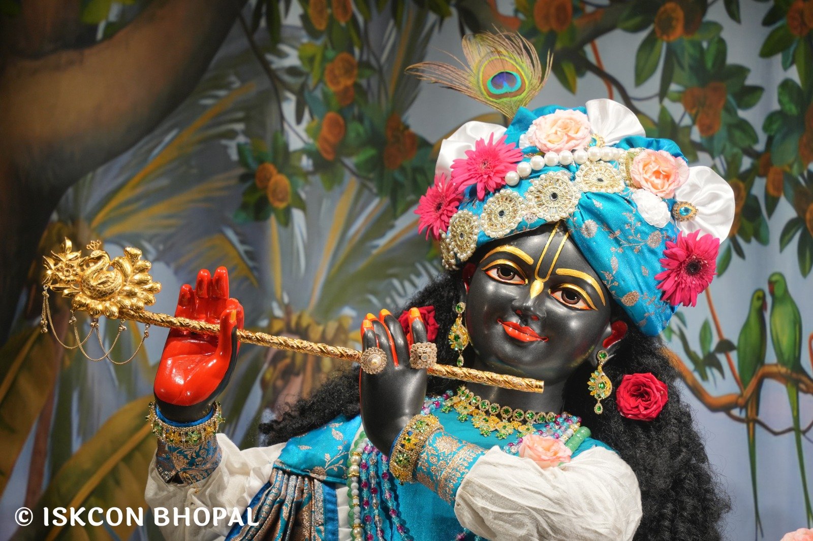 WhatsApp Image 2025-10-29 at 6.51.53 AM (2)