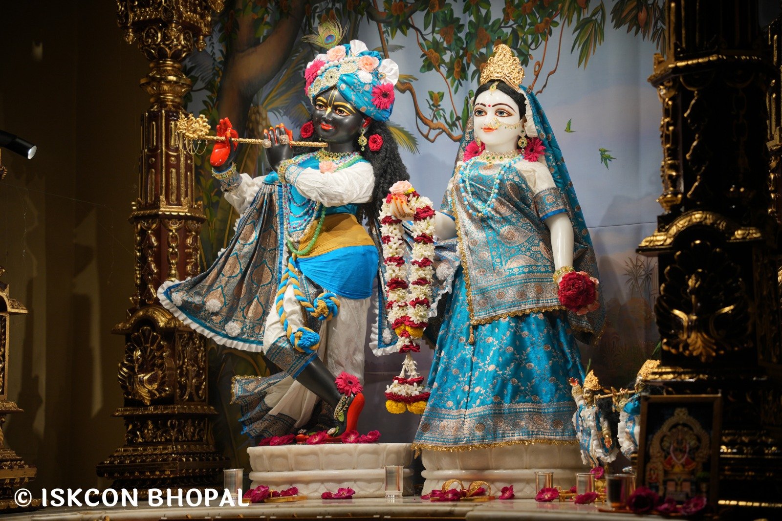 WhatsApp Image 2025-10-29 at 6.51.53 AM (4)