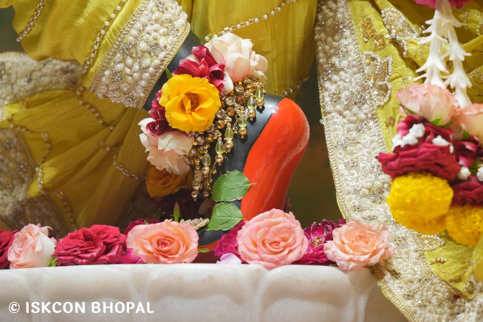 WhatsApp Image 2025-10-29 at 7.45.19 AM