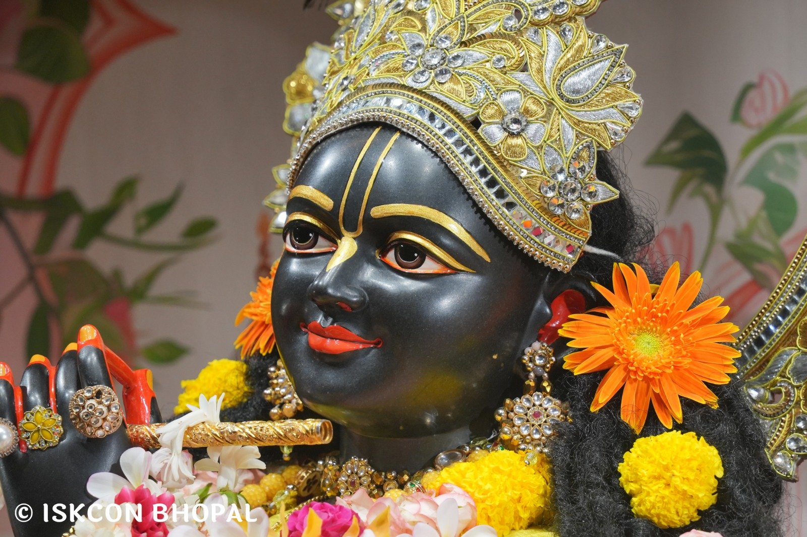 WhatsApp Image 2025-10-29 at 7.45.20 AM (1)