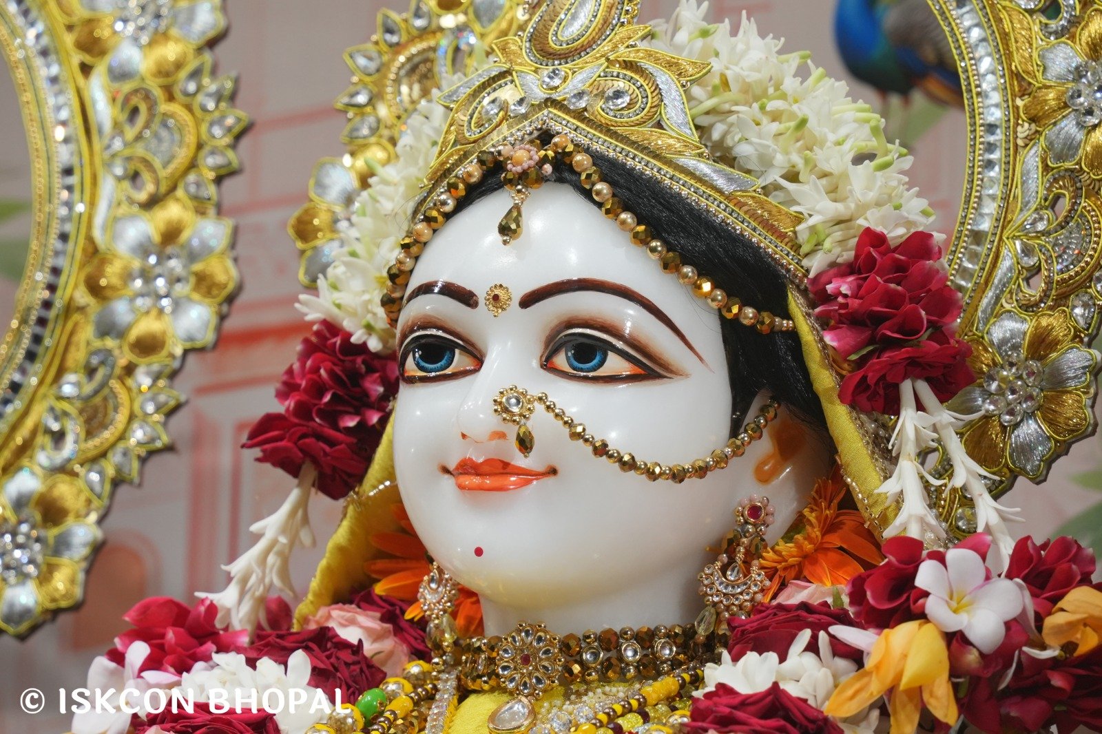 WhatsApp Image 2025-10-29 at 7.45.20 AM (2)