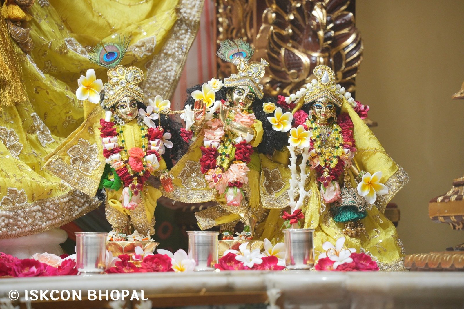 WhatsApp Image 2025-10-29 at 7.45.20 AM (3)