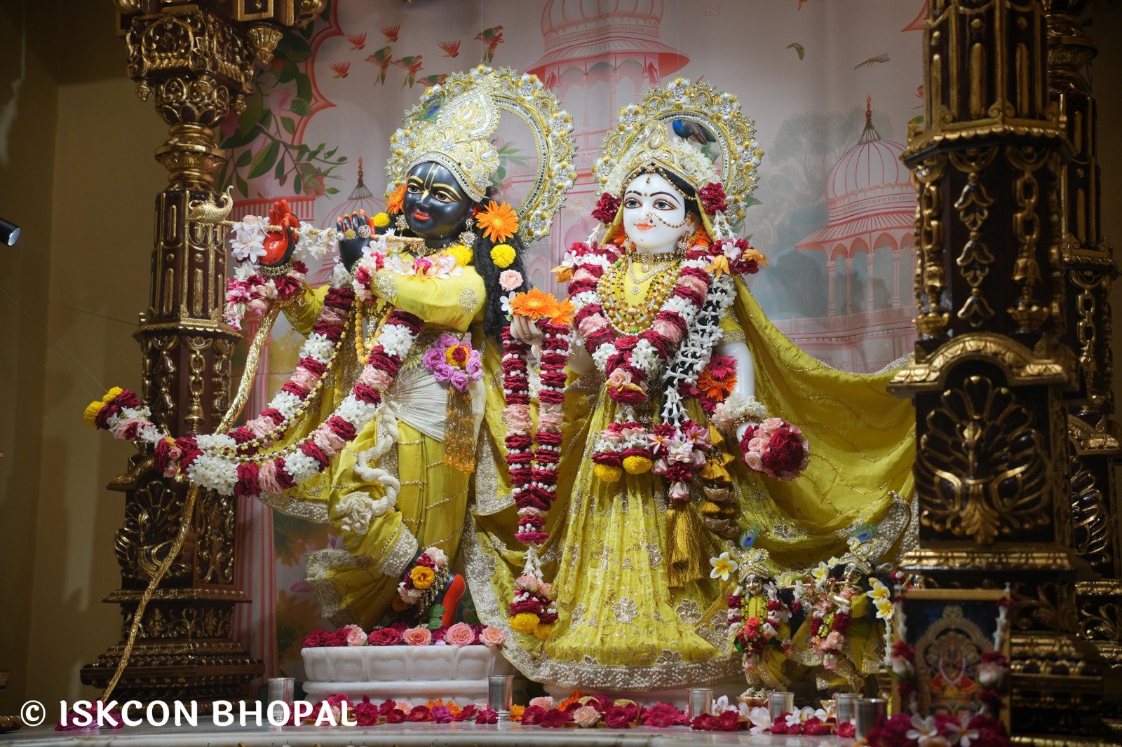 WhatsApp Image 2025-10-29 at 7.45.20 AM