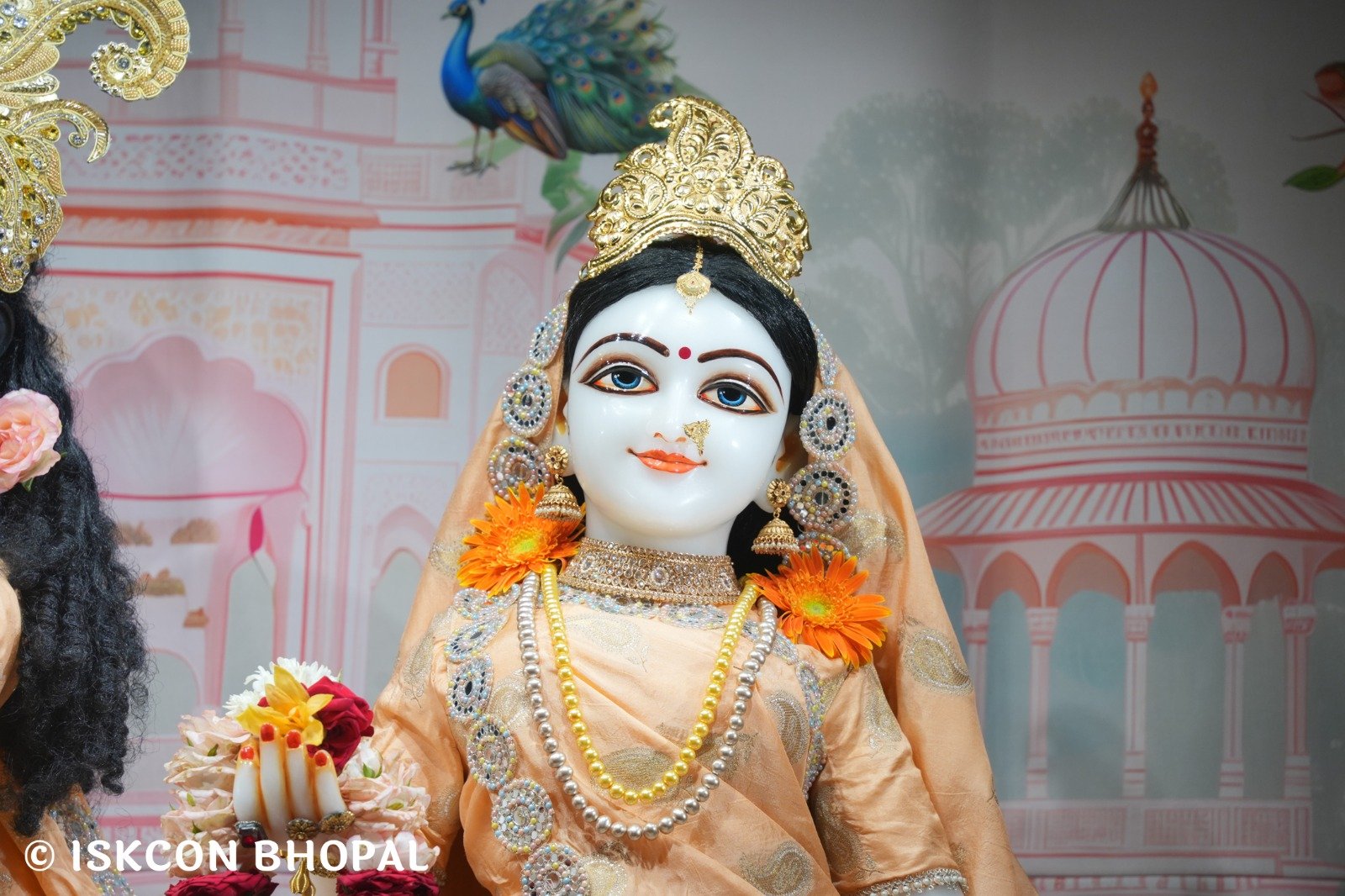 WhatsApp Image 2025-10-30 at 7.13.08 AM (1)