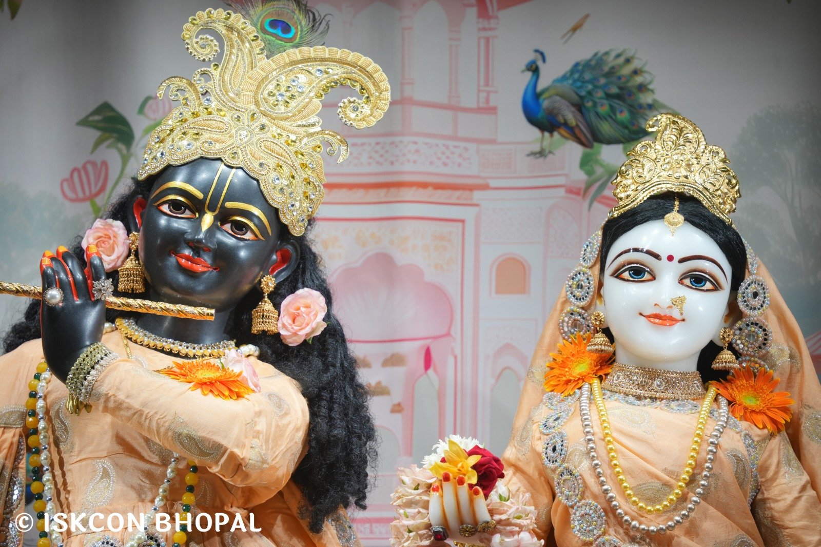 WhatsApp Image 2025-10-30 at 7.13.08 AM (2)