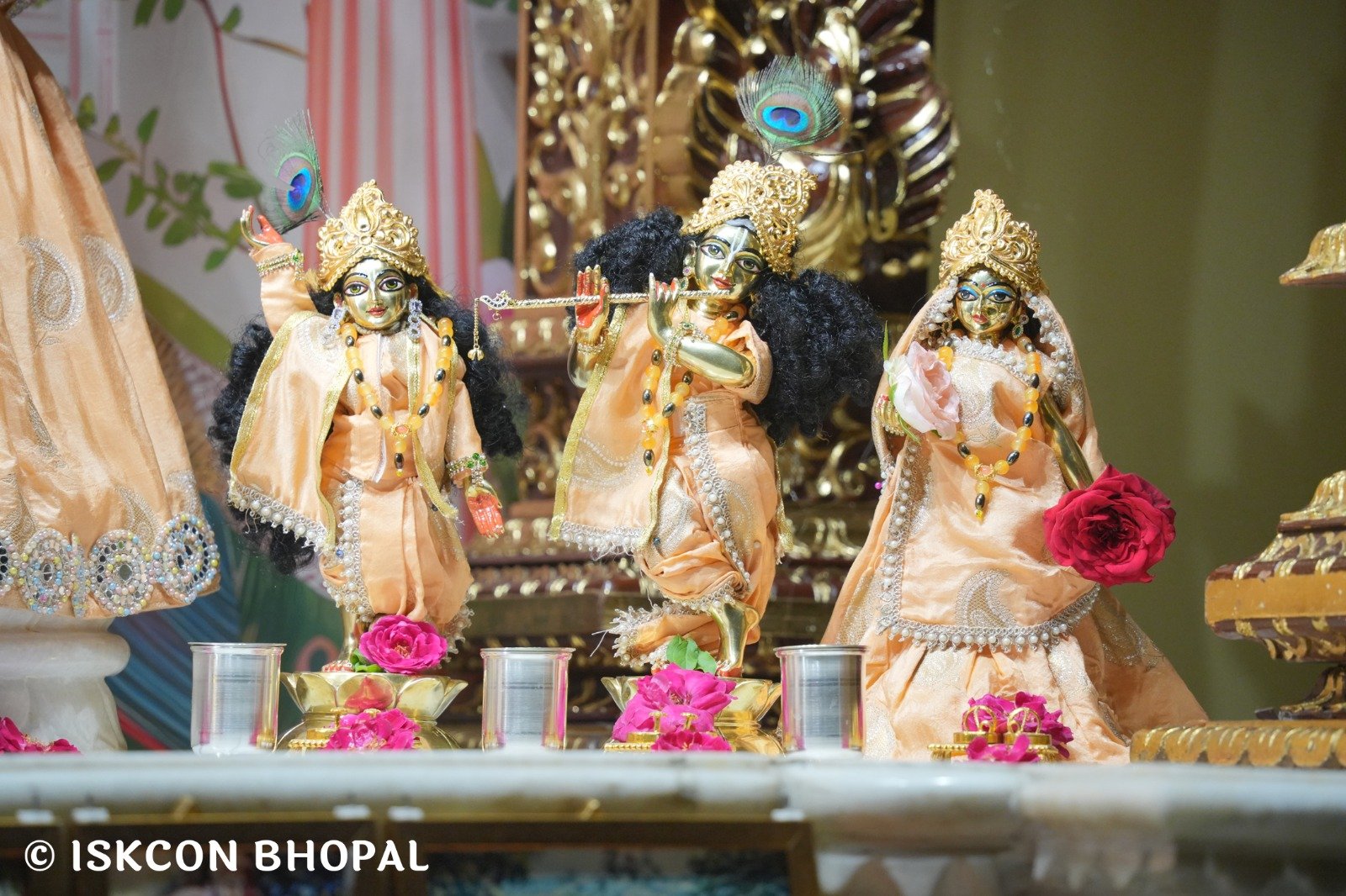 WhatsApp Image 2025-10-30 at 7.13.09 AM (4)