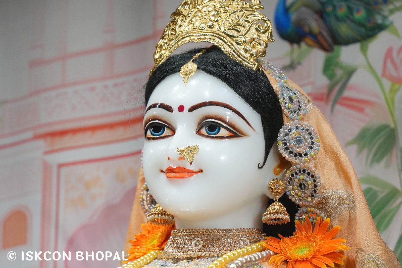 WhatsApp Image 2025-10-30 at 7.13.10 AM