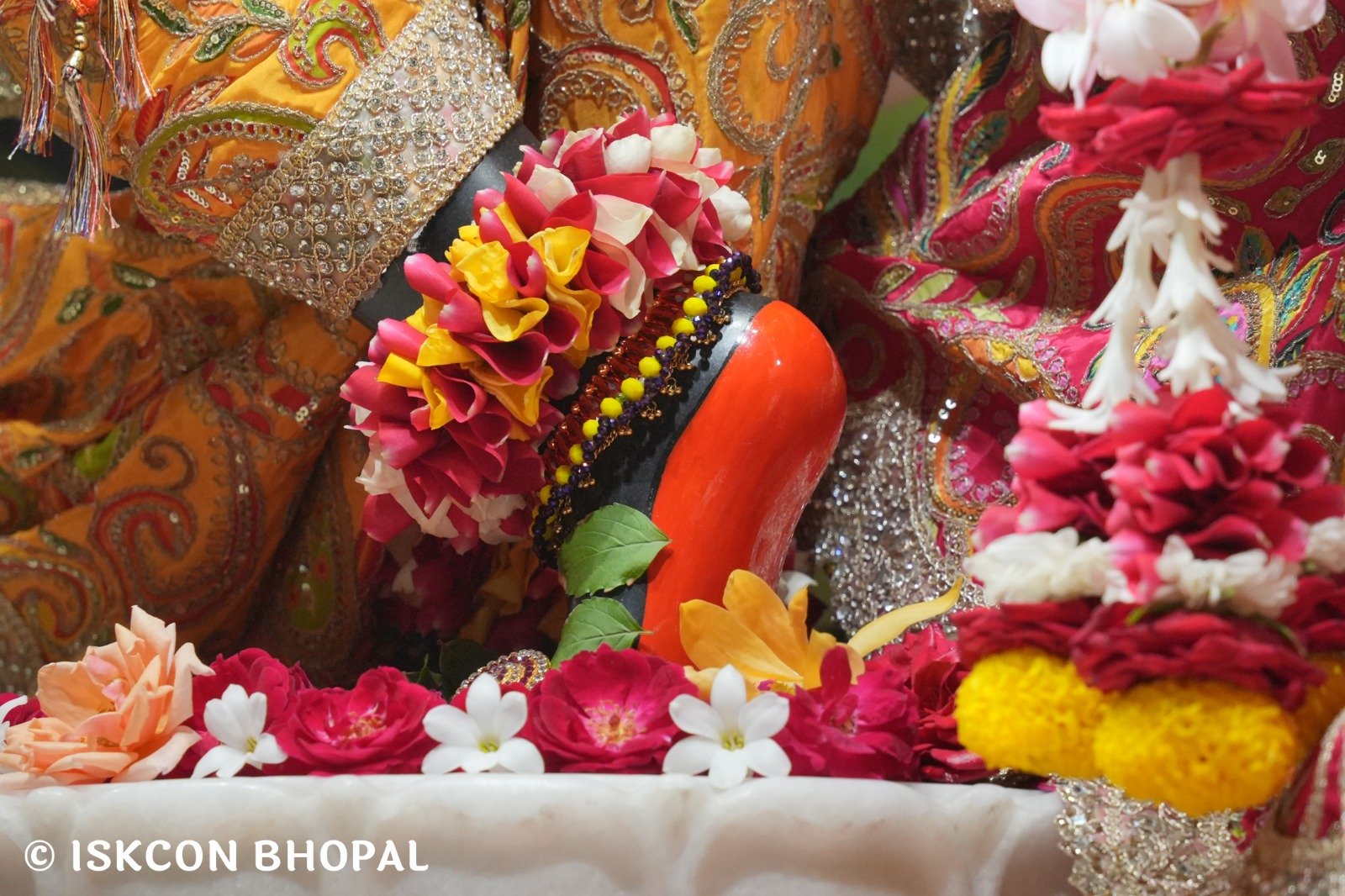 WhatsApp Image 2025-10-30 at 7.48.50 AM (1)