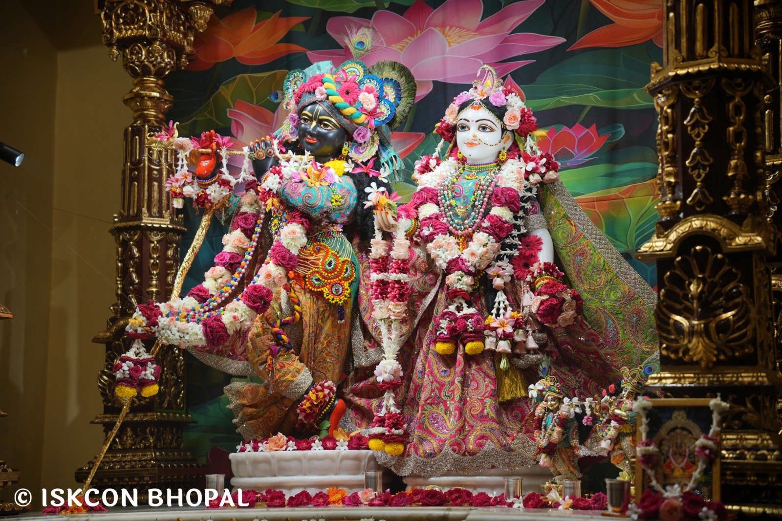 WhatsApp Image 2025-10-30 at 7.48.50 AM (2)