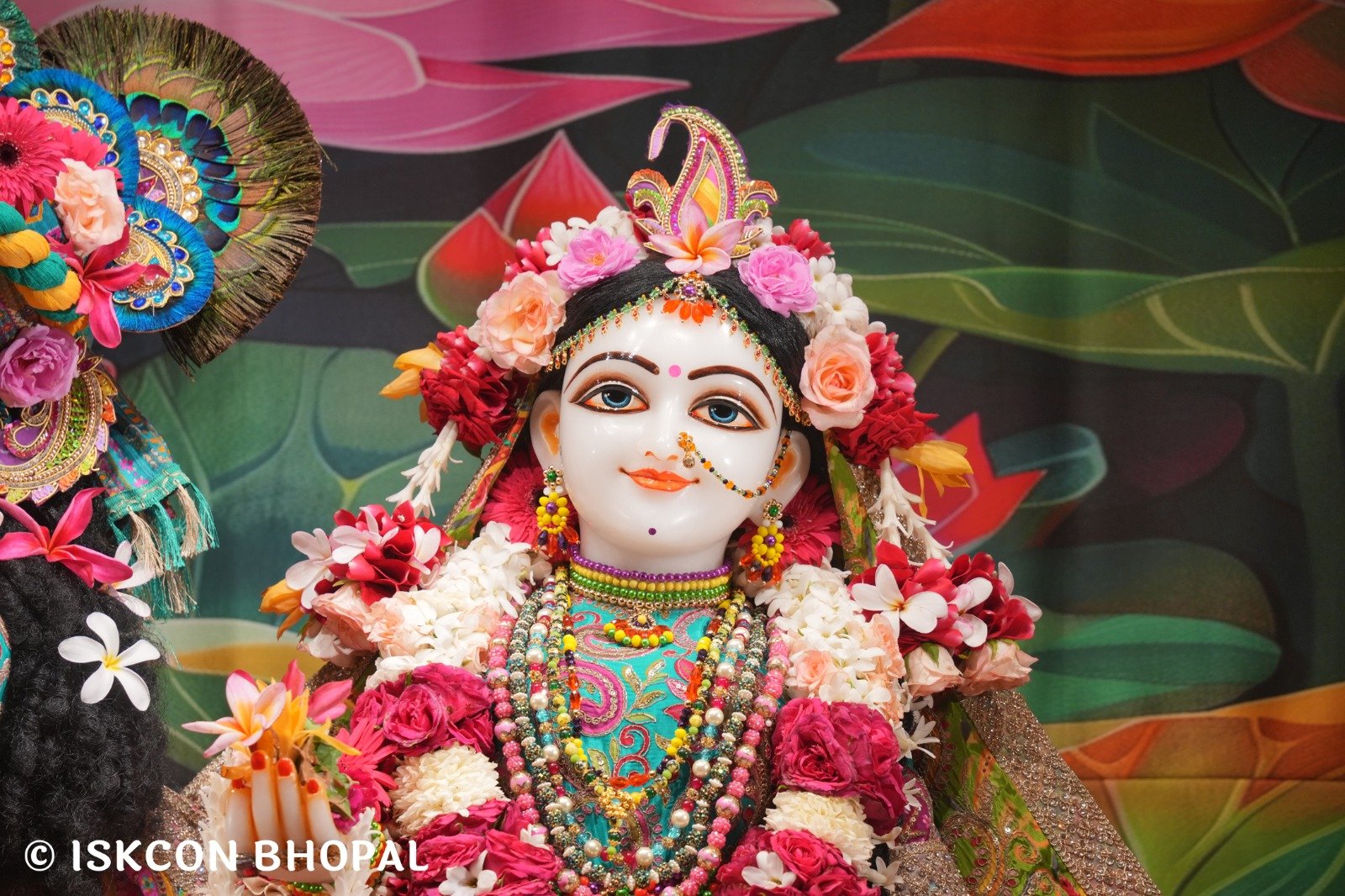 WhatsApp Image 2025-10-30 at 7.48.50 AM (4)