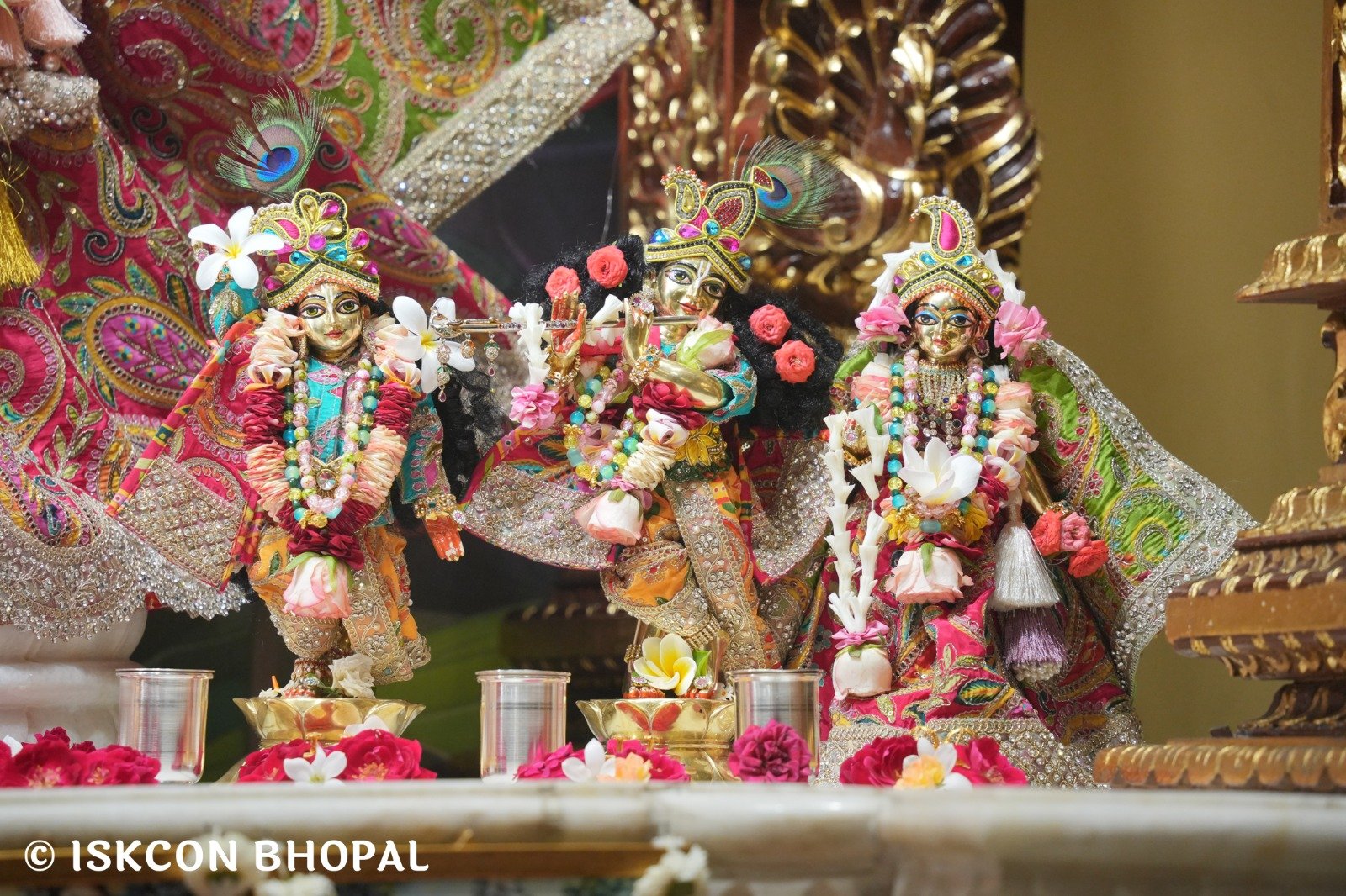 WhatsApp Image 2025-10-30 at 7.48.50 AM (5)