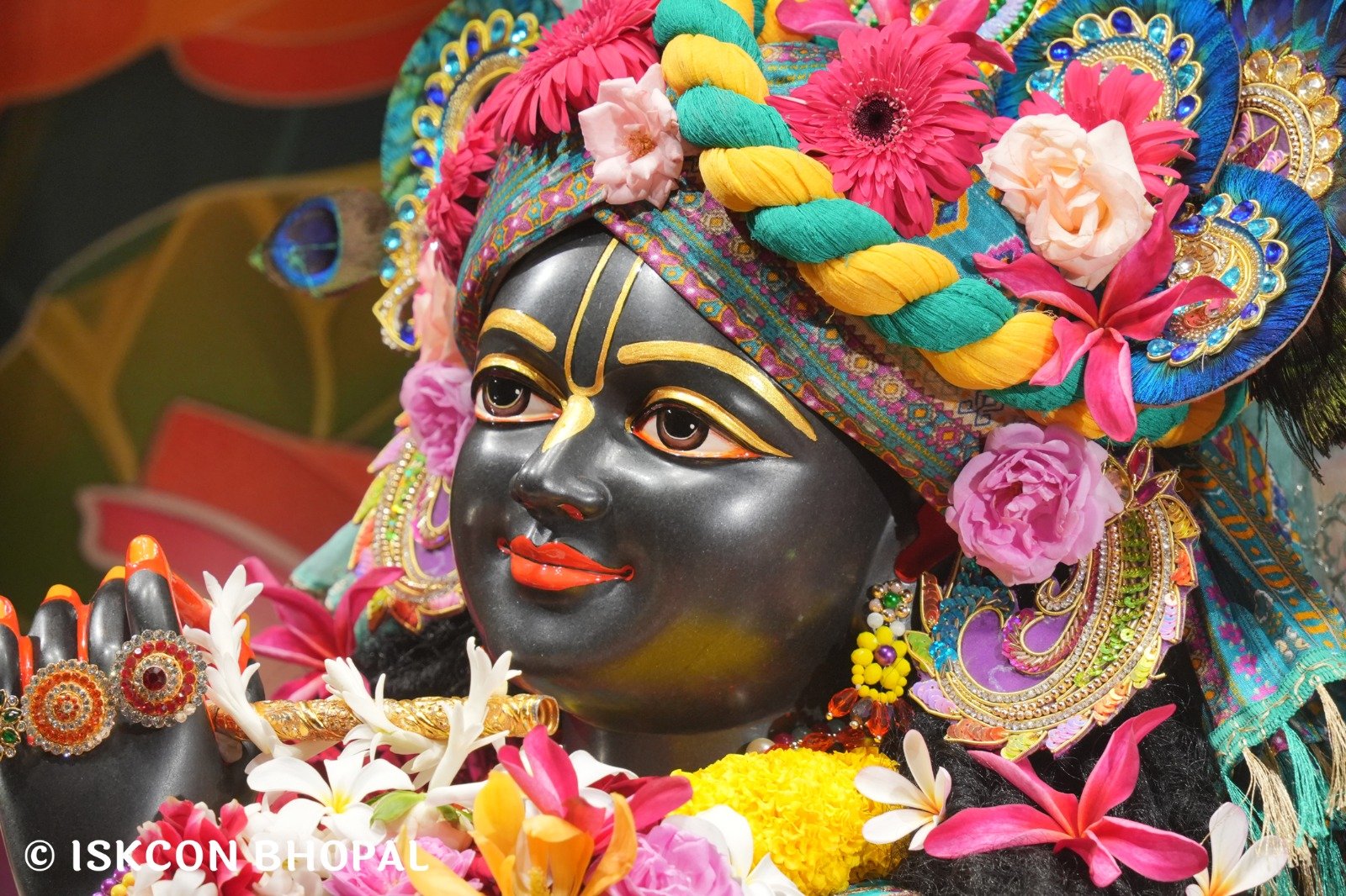 WhatsApp Image 2025-10-30 at 7.48.50 AM