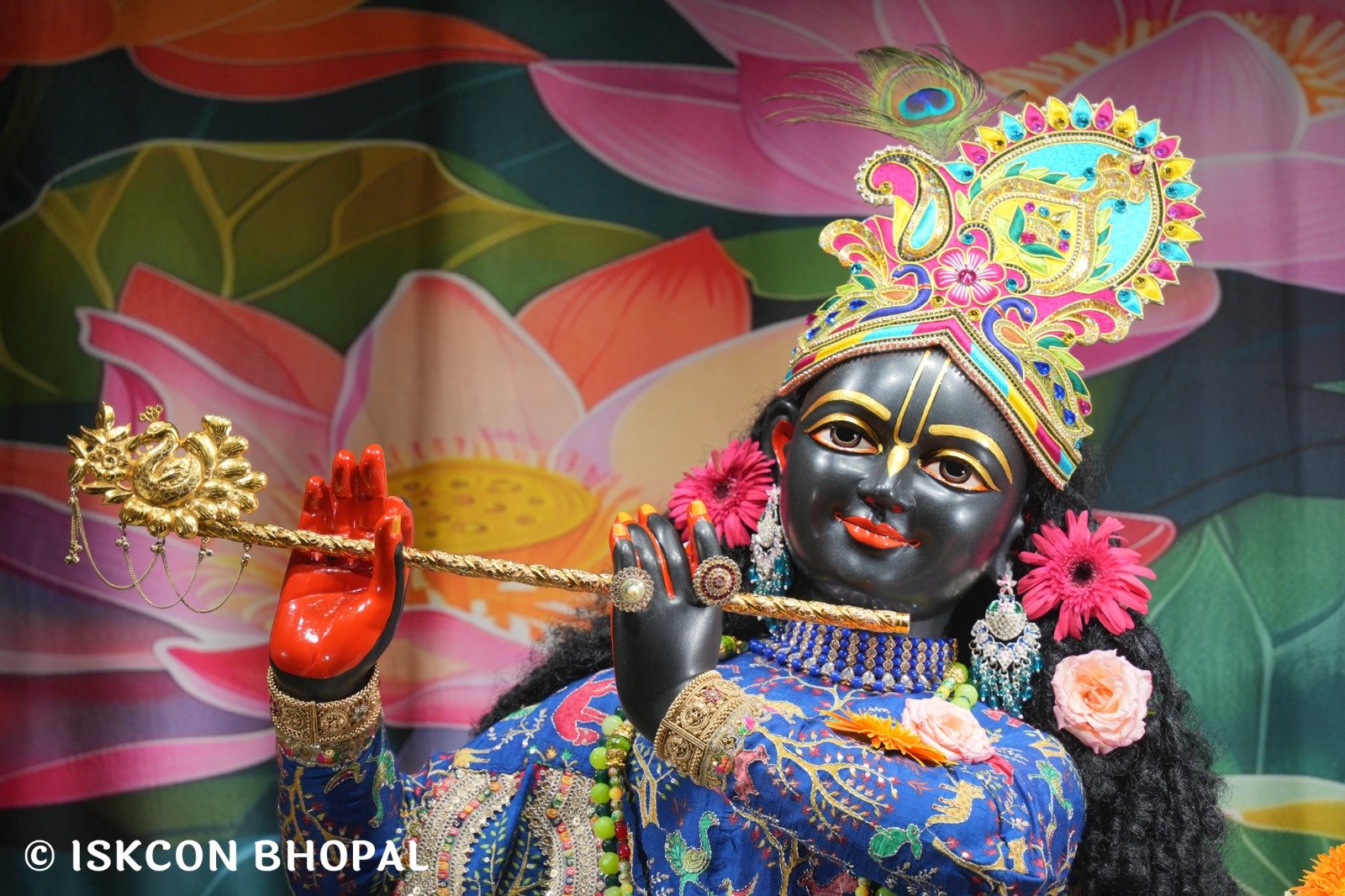 WhatsApp Image 2025-10-31 at 7.07.26 AM (1)