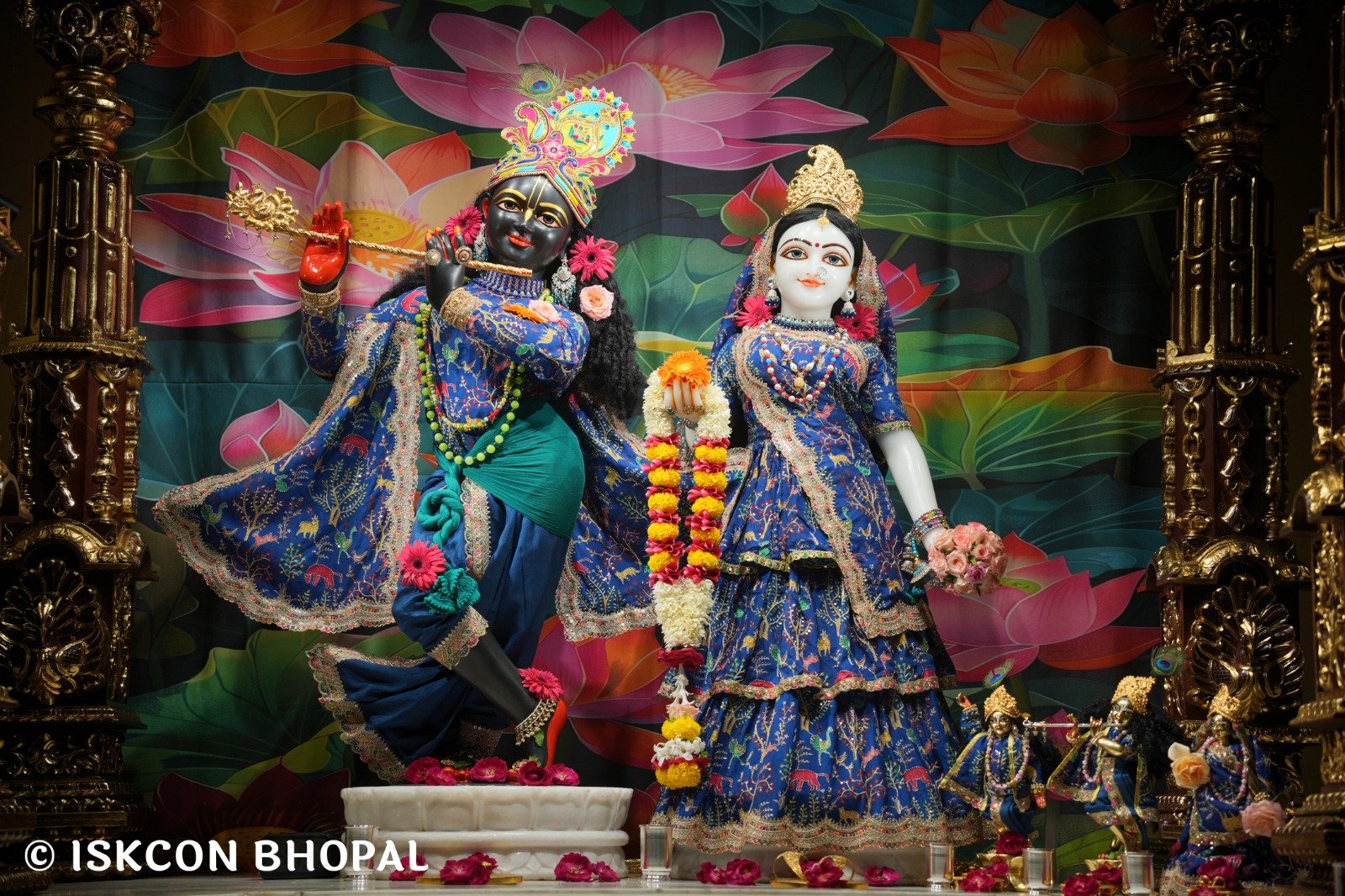 WhatsApp Image 2025-10-31 at 7.07.26 AM