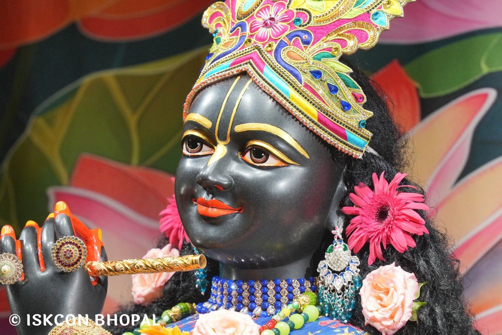 WhatsApp Image 2025-10-31 at 7.07.28 AM (1)