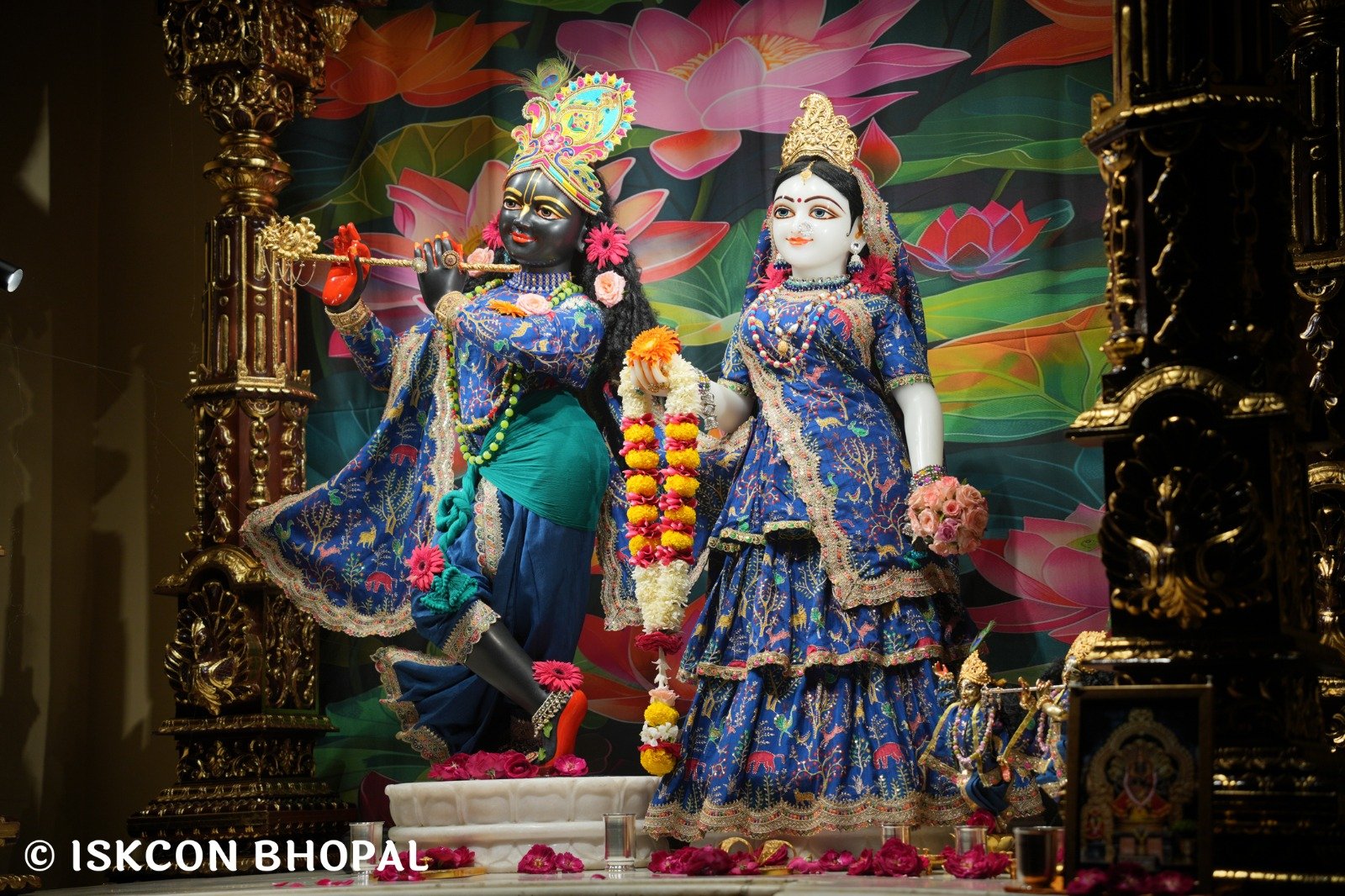 WhatsApp Image 2025-10-31 at 7.07.28 AM (3)