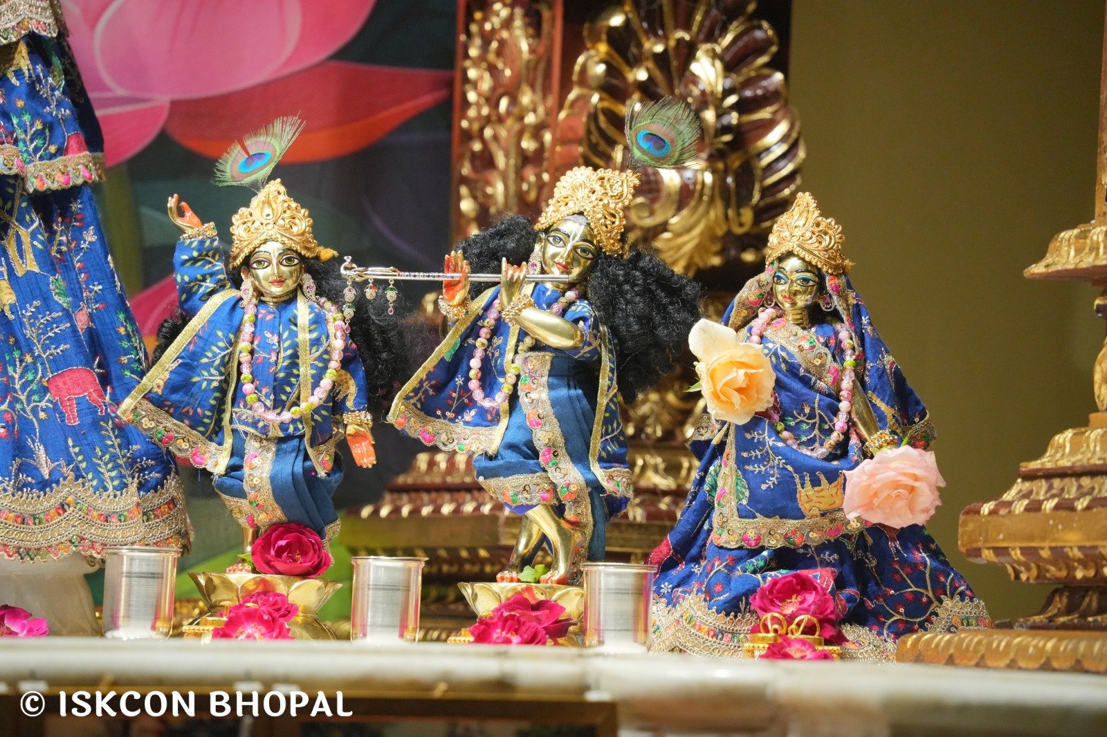 WhatsApp Image 2025-10-31 at 7.07.28 AM