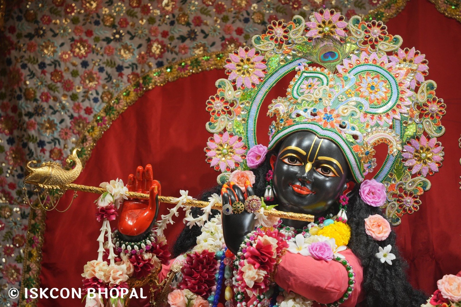 WhatsApp Image 2025-10-31 at 8.49.42 AM (2)