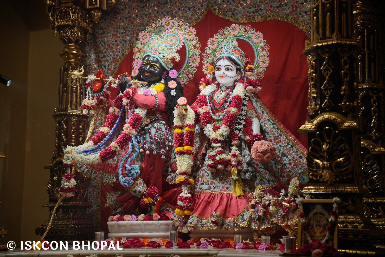 WhatsApp Image 2025-10-31 at 8.49.42 AM (3)