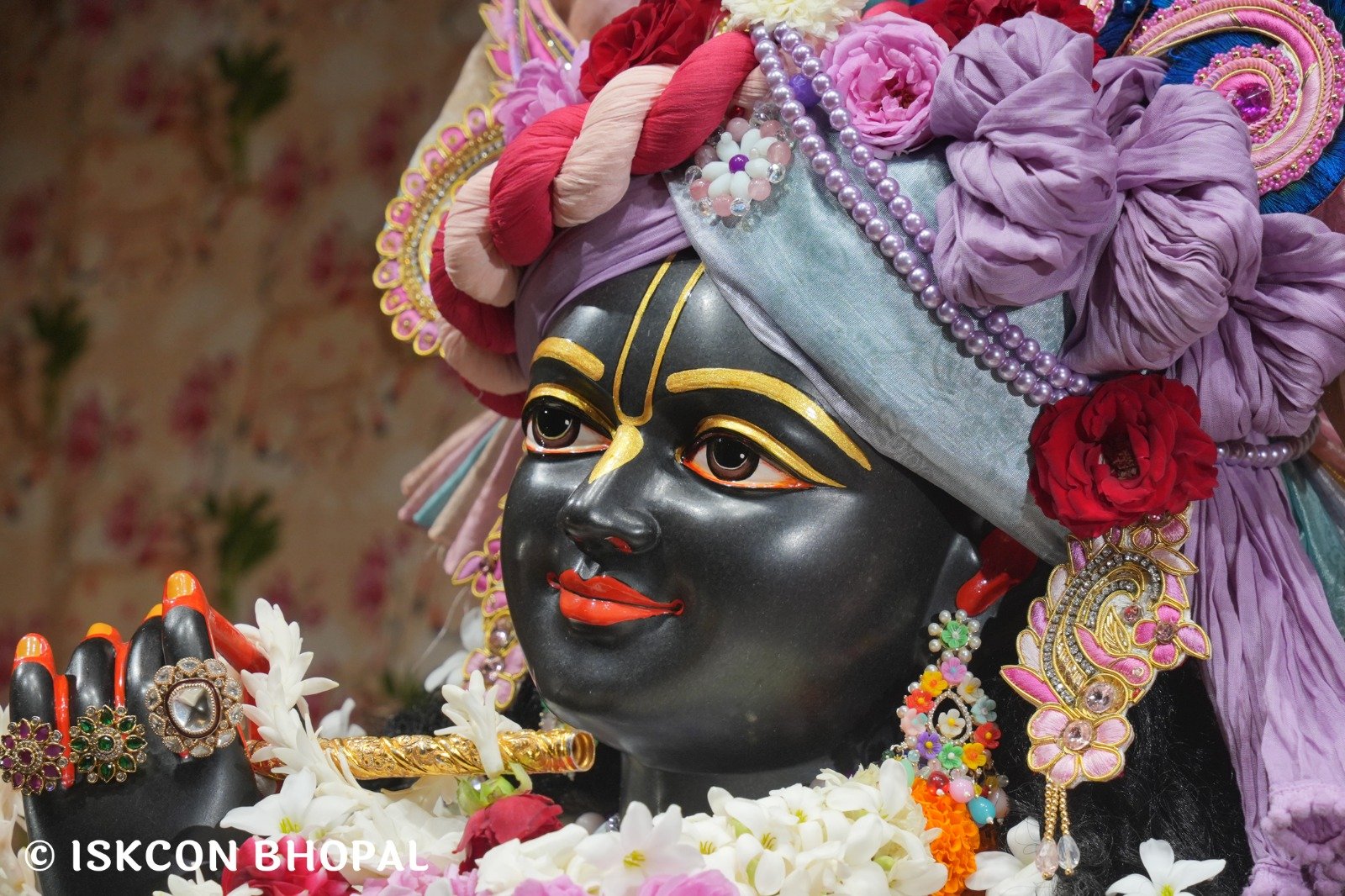 WhatsApp Image 2025-11-01 at 8.42.30 AM (1)