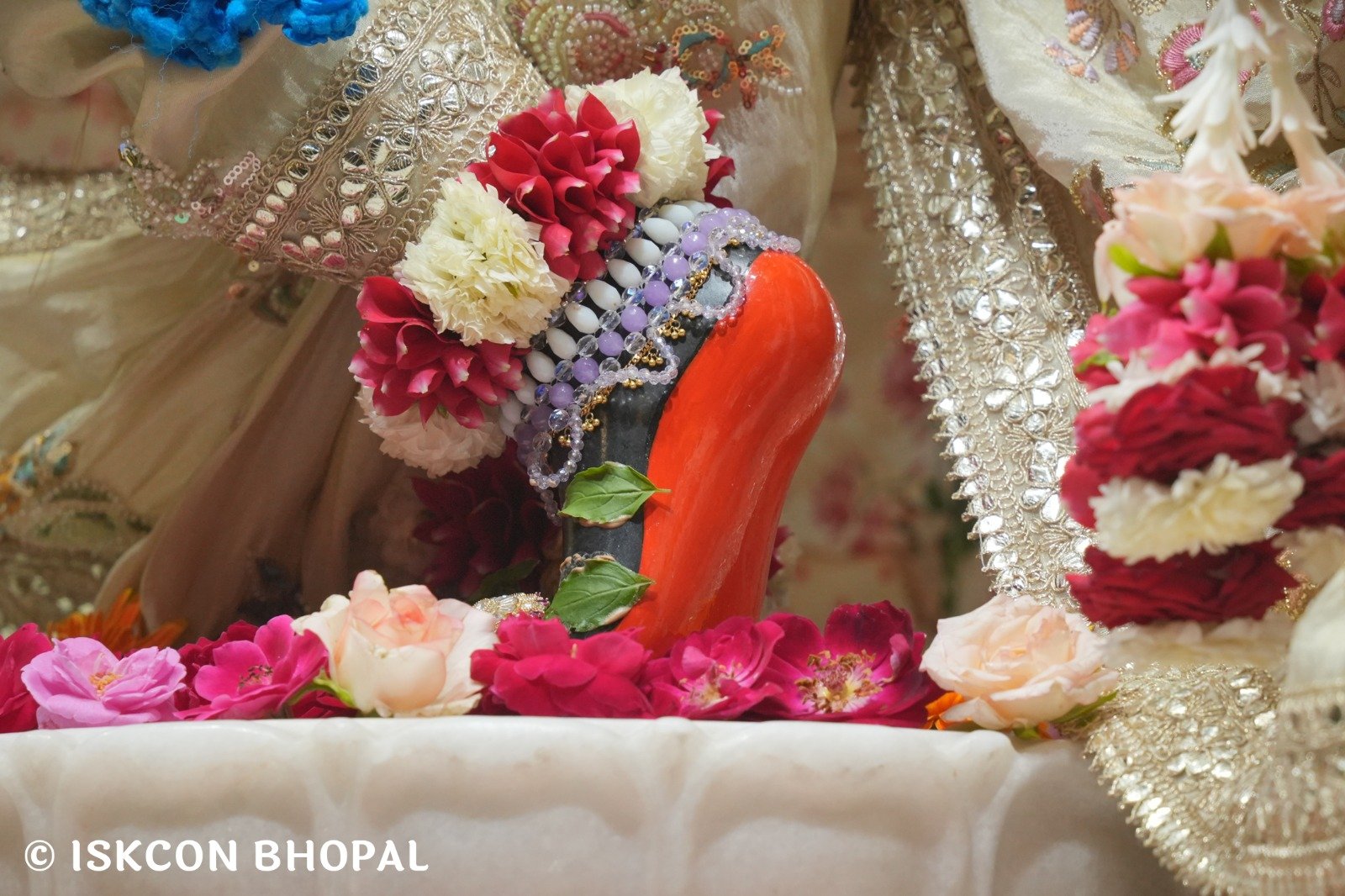 WhatsApp Image 2025-11-01 at 8.42.30 AM