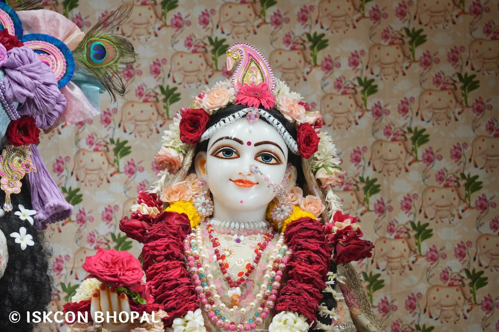 WhatsApp Image 2025-11-01 at 8.42.31 AM (2)